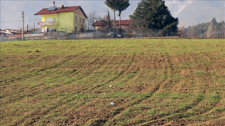 Son yağışlar Karabük'te çiftçinin yüzünü güldürüyor