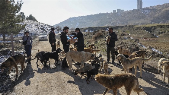 Sosyal medya üzerinden kurulan ağ ile &#039;can dostlar&#039; sahipsiz bırakılmıyor