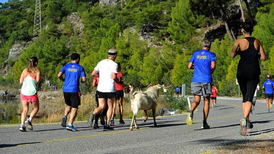 Sporcularla koşan keçi ilgi odağı oldu