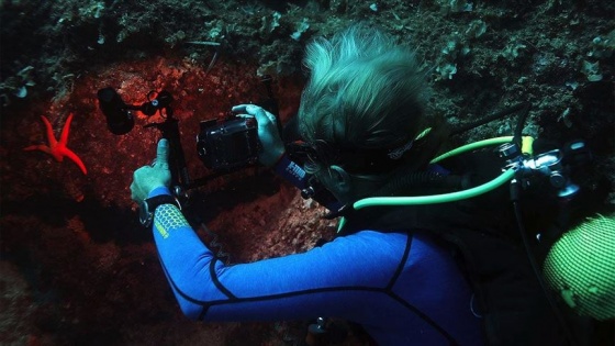 Su altı fotoğrafçılığı meraklıları Karaburun&#039;da buluşuyor