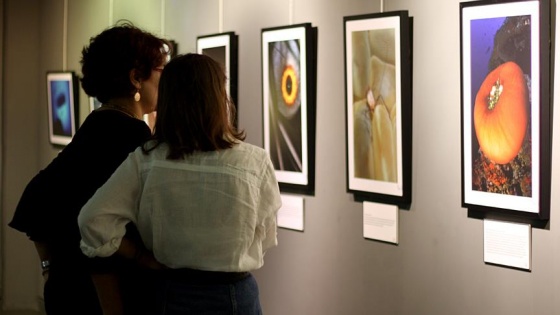 'Sualtından Geleceğe' fotoğraf sergisi açıldı