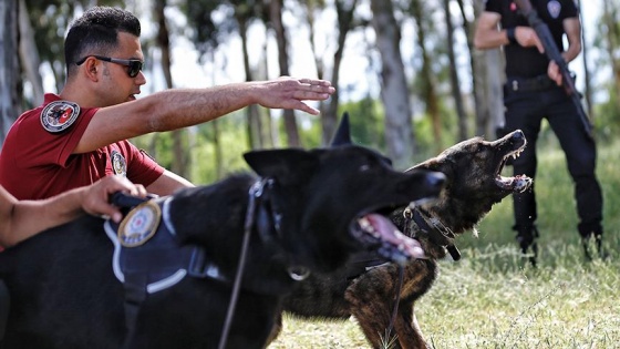 Suçluların korkulu rüyası 'Black' ve 'Dano'