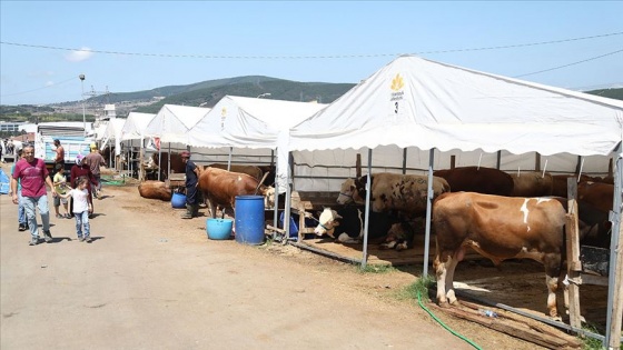 Sultanbeyli'deki kurban kesim alanı bayrama hazır