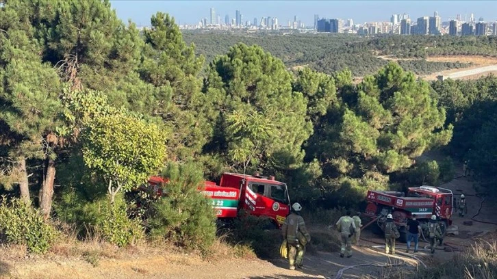 Sultangazi'de ormanlık alanda yangın çıktı