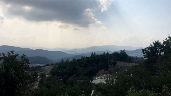 Suriye'nin Hatay sınırındaki orman yangını etkisini yitirdi