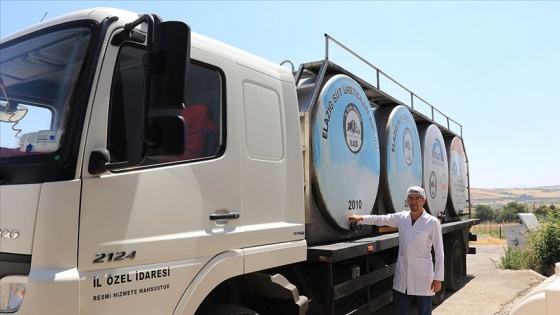 Süt toplama tesisi 700 aileye ekmek kapısı oldu