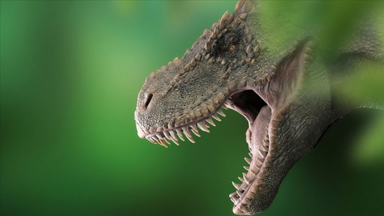 T-Rex'lerle ilgili yeni keşif