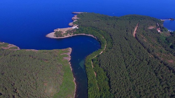 Tabiat parkları 'cazibe merkezi'ne dönüştü