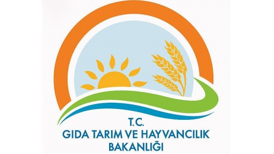 Taklit ve tağşiş yapan 229 firma açıklandı