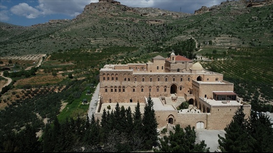 Tarihi manastırda yetiştirilen zeytinler ödüllü zeytinyağına dönüşüyor