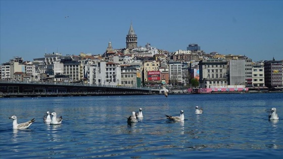 Tarihi sessizlikte İstanbul Boğazı ve Haliç&#039;te &#039;kuşların&#039; hakimiyeti vardı