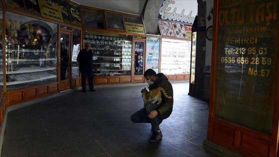 Tarihi Taşhan Çarşısı'nın maskot kedisi: Müdür