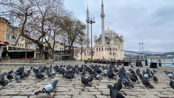 Tarihi yarımada sessizliğe büründü