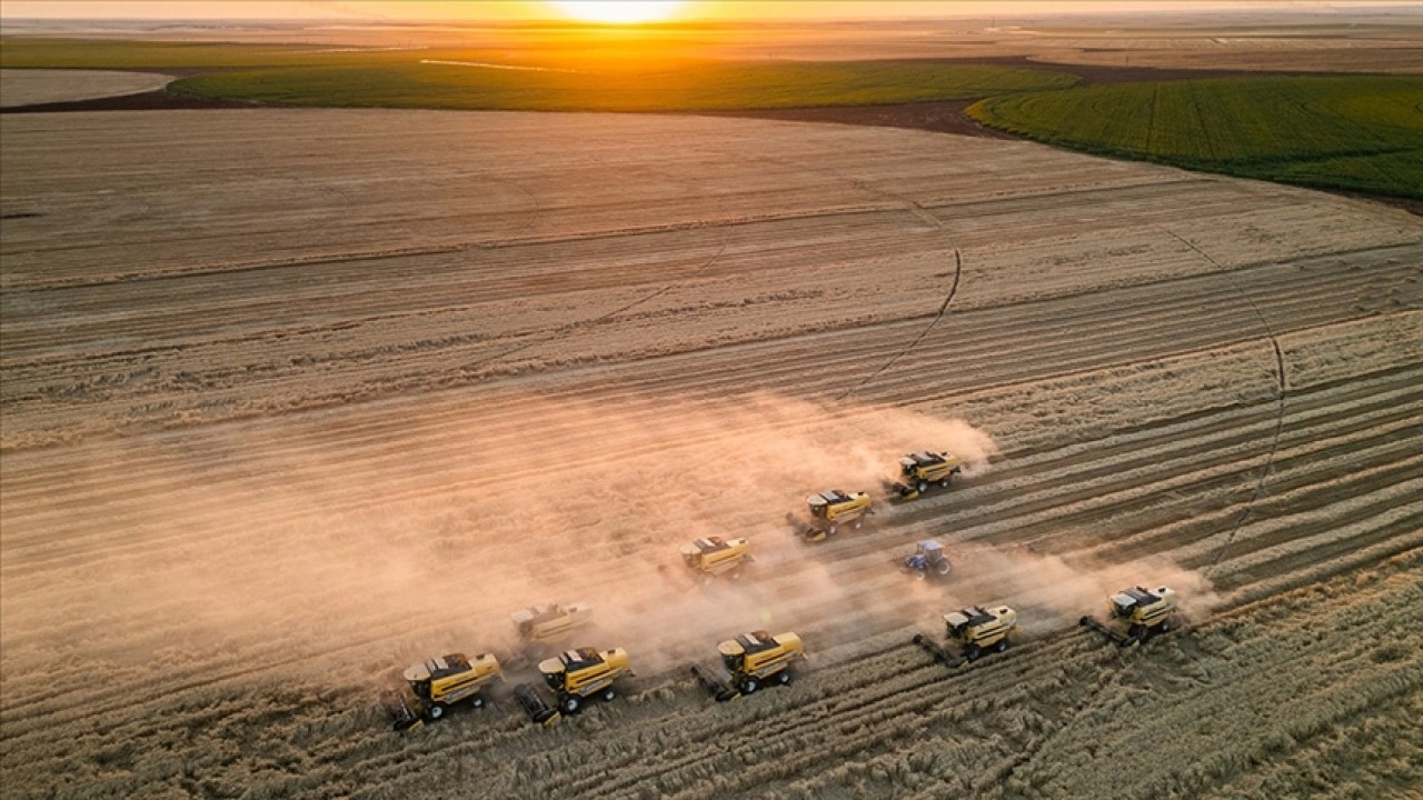 Tarım ÜFE ocakta aylık bazda yüzde 2,74 arttı