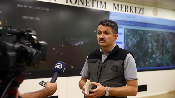 Tarım ve Orman Bakanı Pakdemirli: Antalya'daki yangın kontrol altına alındı