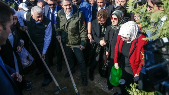 Tarım ve Orman Bakanı Pakdemirli ile Binali Yıldırım, öğretmenler adına fidan dikti