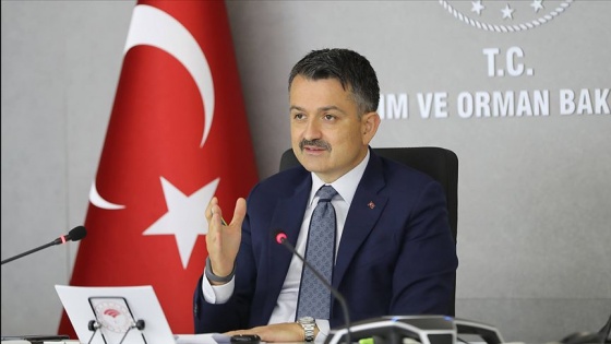 Tarım ve Orman Bakanı Pakdemirli: Kırsaldaki dinamizmi hep birlikte daha çok enerjiye çevireceğiz