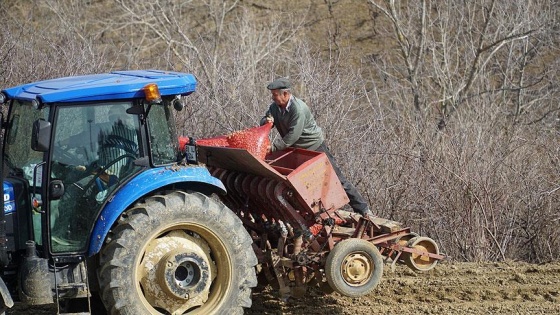 Tarımda enflasyon geriledi