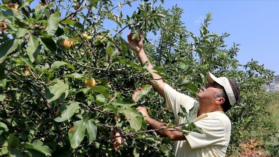 Tarımda kimyasal ilaçların kullanımını azaltmak için &#039;5D formülünü&#039; geliştirdi