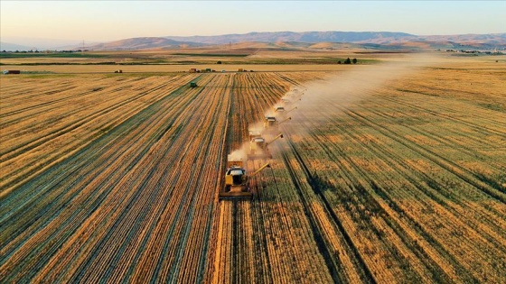 Tarımsal destek ödemeleri bugün üretici hesaplarına yatırılmaya başlanacak