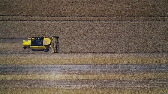 Tarımsal girdi fiyat endeksi haziranda yıllık yüzde 27,65, aylık yüzde 2,76 arttı