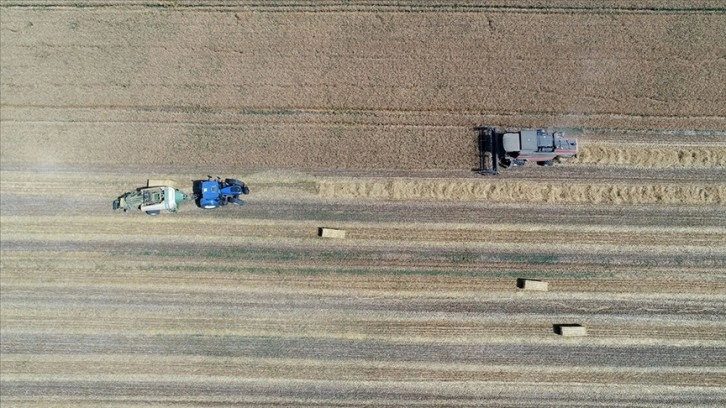 Tarımsal girdi fiyat endeksi mayısta yıllık yüzde 123,72, aylık yüzde 5,51 arttı