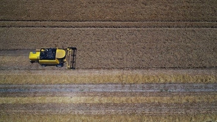 Tarımsal girdi fiyat endeksi ocakta yıllık yüzde 57,26, aylık yüzde 10,12 arttı