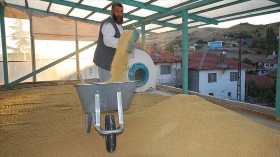 Taş değirmende geleneksel yöntemlerle bulgur üretiyor