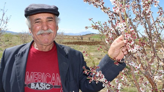 Taşlık alanı badem bahçesine dönüştürdü