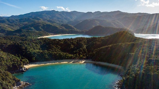 Tasman Denizi'nde su altı volkanları keşfedildi