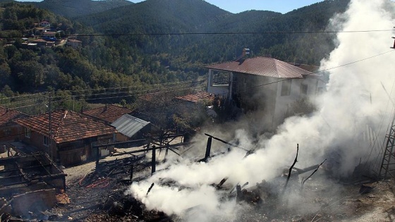 Tatile geldiği köyünde, hayat kurtardı