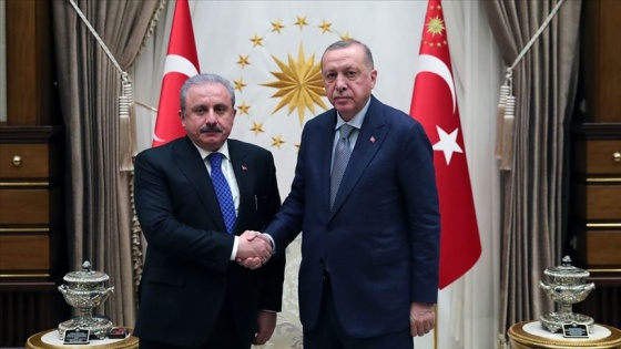TBMM Başkanı Şentop Rahşan Ecevit'in vasiyeti için Cumhurbaşkanı Erdoğan ile görüştü