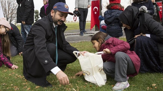 TBMM'de palamut toplama şenliği