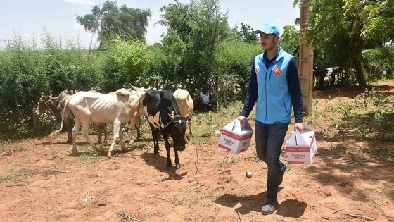 TDV vekalet kurbanları ihtiyaç sahiplerine ulaştırıyor