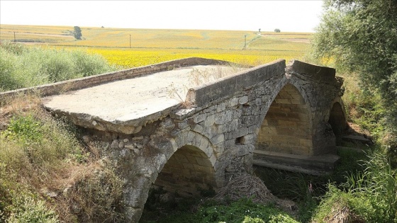 Tekirdağ'da günümüze 3 kemeri ulaşan tarihi Karapürçek Köprüsü ilgi görüyor