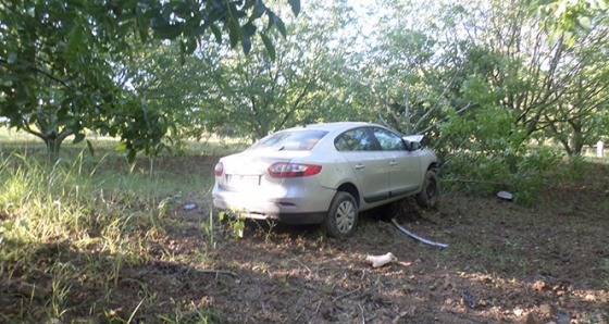 Tekirdağ'da otomobil meyve bahçesine daldı: 4 yaralı