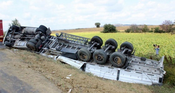 Tekirdağ’da tır ayçiçeği tarlasına devrildi