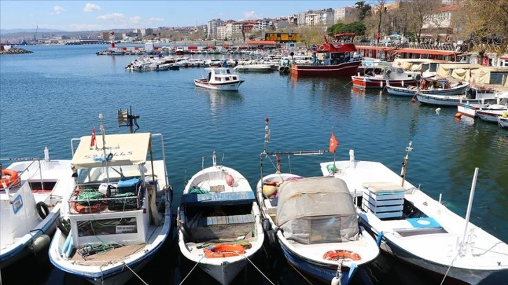 Tekirdağ'daki küçük tekne balıkçılarının 'karides' mesaisi sürüyor