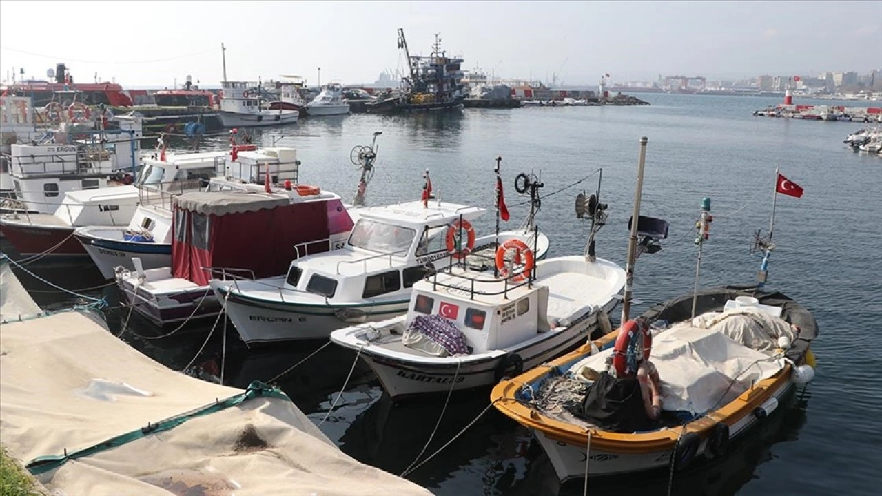 Tekirdağlı balıkçılar istavrit ve hamsi umuduyla denize açıldı