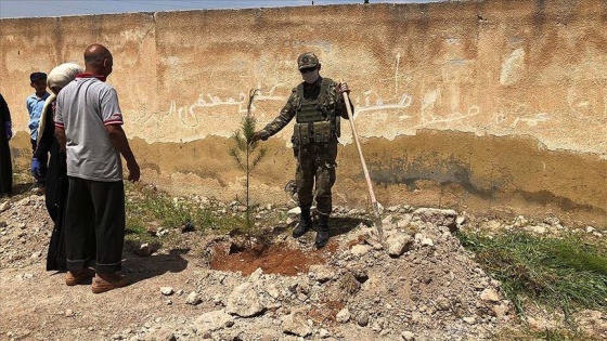 Tel Abyad'da alt ve üstyapı yenileme çalışmaları devam ediyor