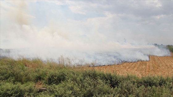 Tel Abyad'da çıkan anız yangınında 1 kişi öldü, 3 kişi yaralandı