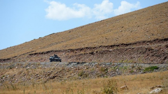 Tendürek Dağı'nda 2 terörist etkisiz hale getirildi