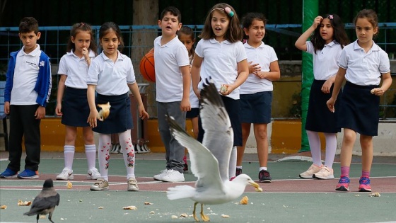 Teneffüs arası martı besleme nöbeti