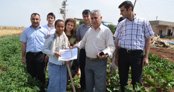 TEOG'un Viranşehir birincisi karnesini tarlada aldı