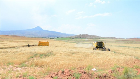 Terk edilen tarım arazileri çevrim içi toplantıda görüşüldü