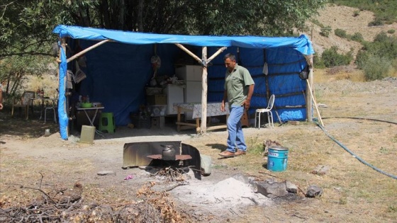 Terk edilen yaylada tek başına yaşıyor