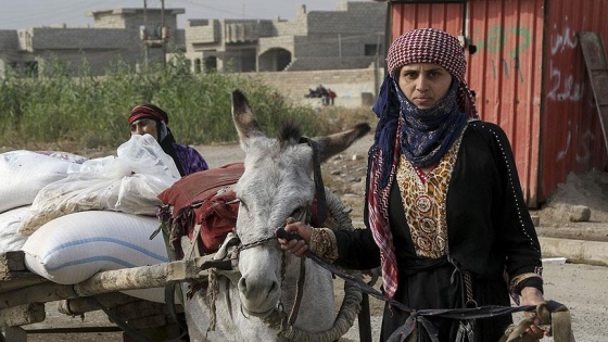 Terör örgütü DEAŞ Musul halkını göçe zorluyor