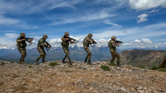 Terör örgütü PKK'dan kaçan bir terörist Mardin'de güvenlik güçlerine teslim oldu