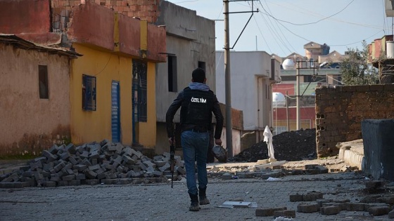 Terör örgütü PKK'nın 'çukur' sorumlusu yakalandı