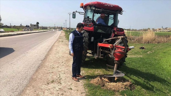 Terörden arındırılan Tel Abyad ağaçlandırılıyor